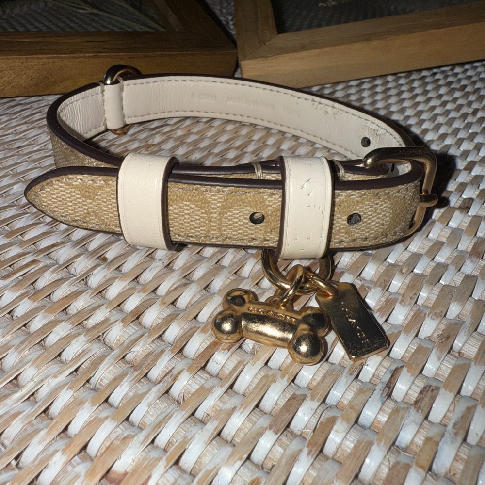 Coach pet collar in light khaki/chalk signature